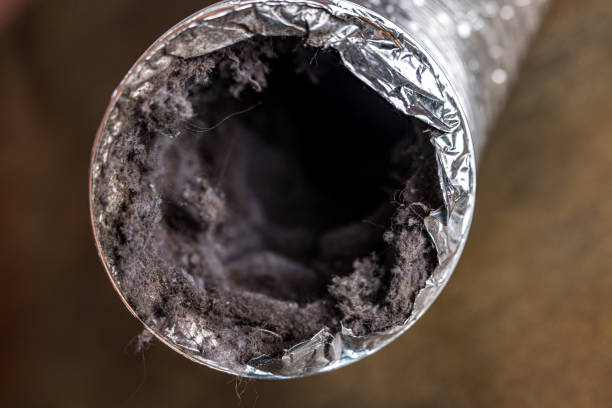 Best HVAC Maintenance and Cleaning  in Dexter, OR
