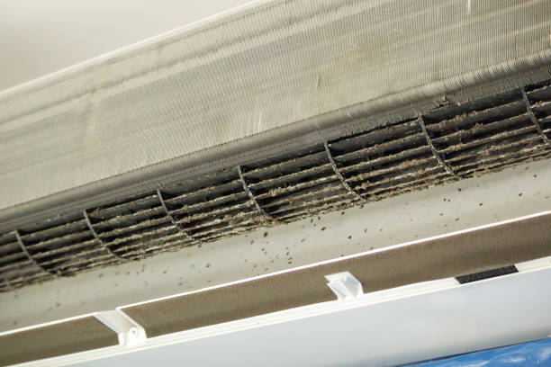 Best Affordable Duct Cleaning Services  in Dexter, OR